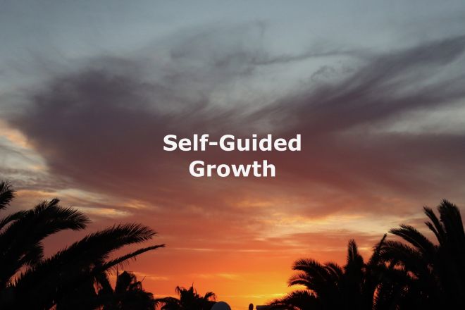 Transformation Openness: A Pathway to Self-Guided Growth