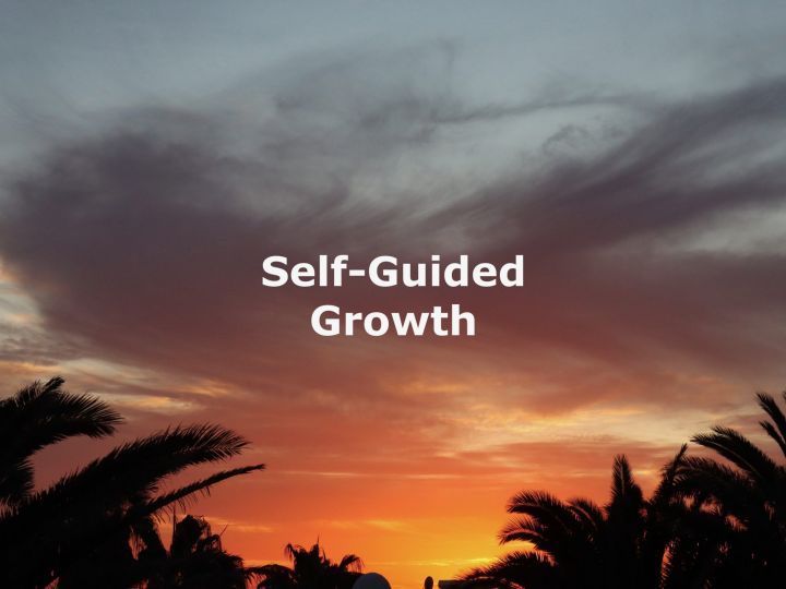 Transformation Openness: A Pathway to Self-Guided Growth