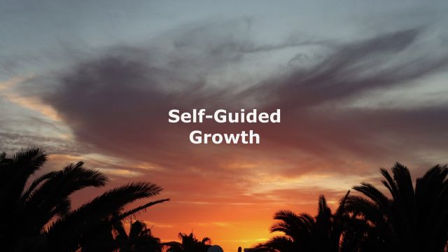 Transformation Openness: A Pathway to Self-Guided Growth