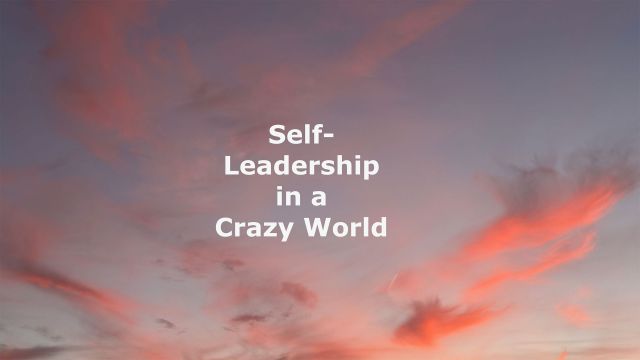 SL019 Self-Leadership in a Crazy World